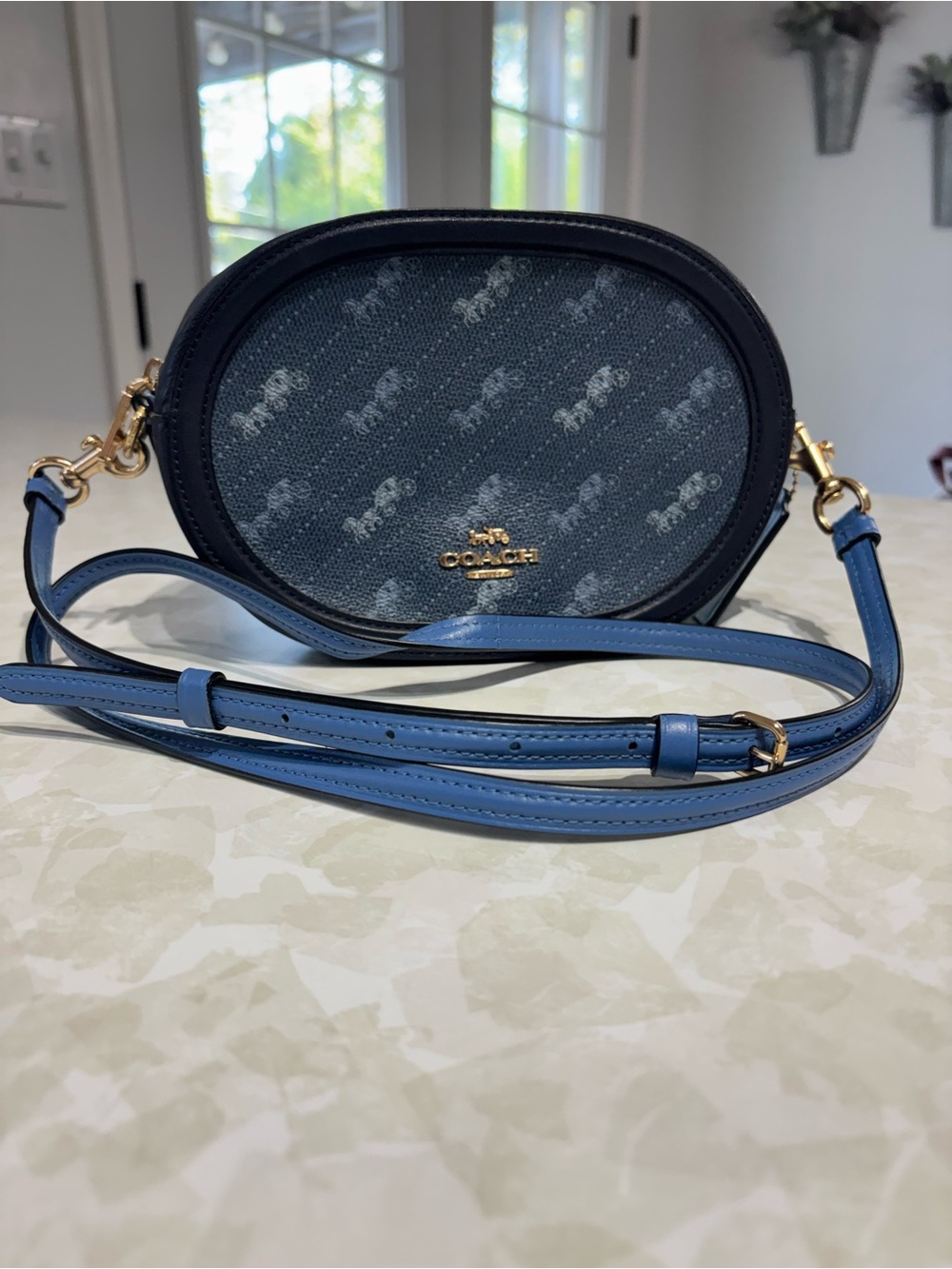 COACH Camera Bag With Horse And Carriage Dot Print